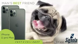 Iphone 11 Pro Max 256gb