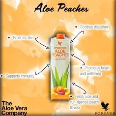 Foreverliving Aloe Bits N` Peaches - Image 2