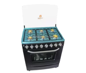 Ae 6 Burner Gas Stove