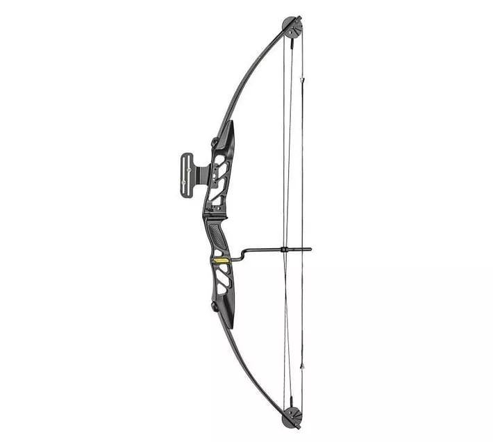 Protex Compound Bow 55lbs - Co-047b-5529