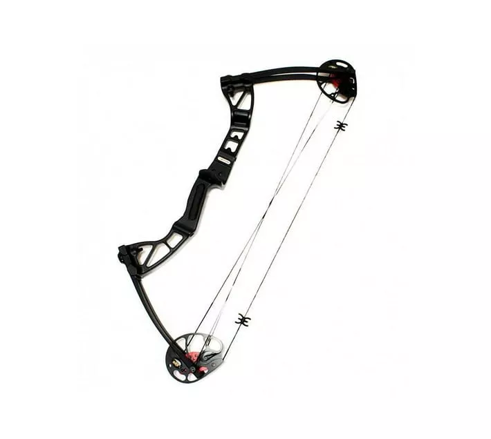 Archery Rex Quad Limbs 15-155lb Black Compound Bow - Co-029b