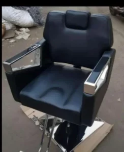 Stainless Steel Luxury Salon Chair, For Professional, With Footrest