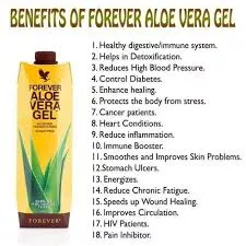 Forever Living Aloe Drinking Gel - Image 4