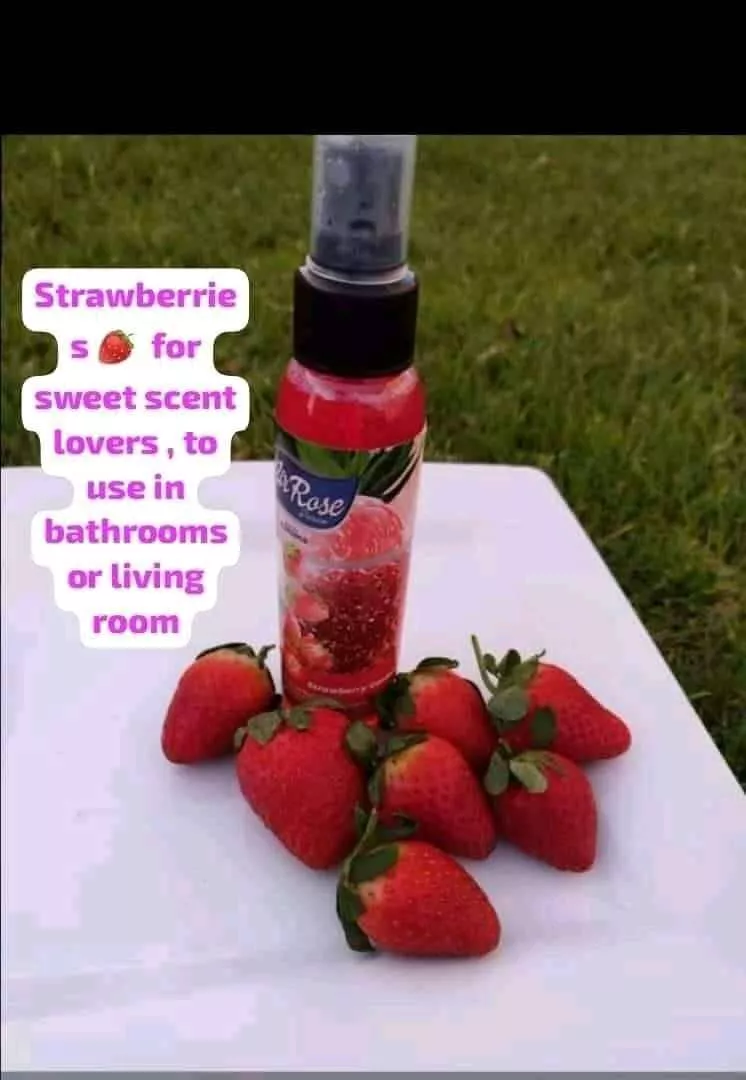 Air Freshener - Image 2