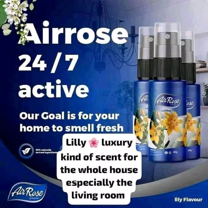 Air Freshener - Image 3