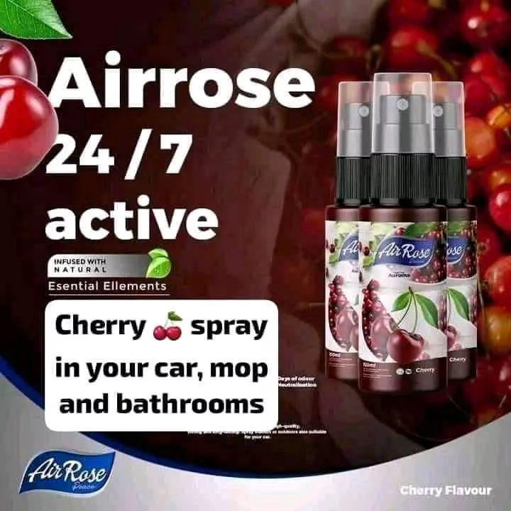 Air Freshener - Image 5