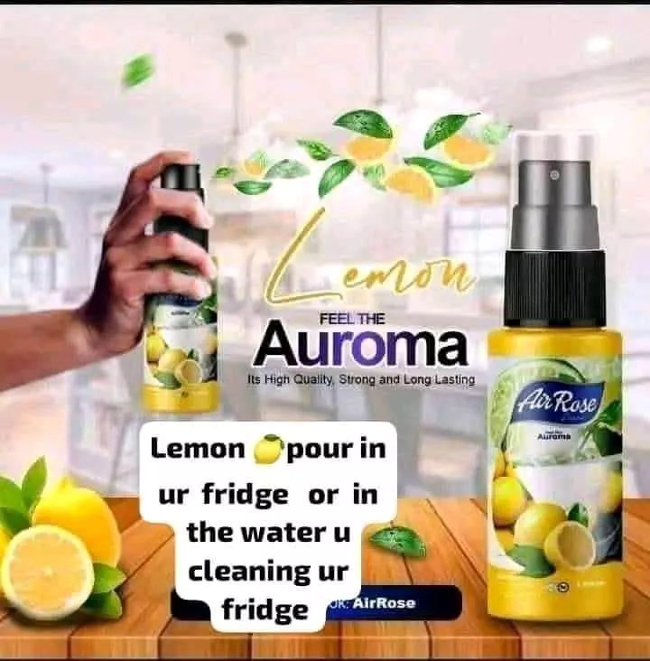 Air Freshener - Image 6