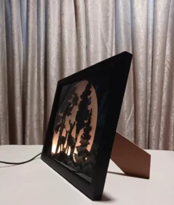 Framed Illuminated Silhouettes