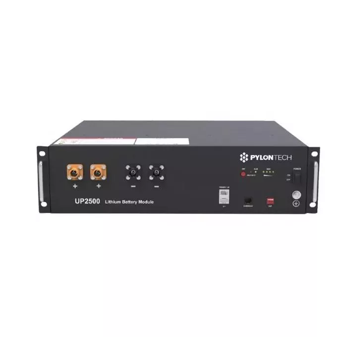 Up2500 24v Pylontech 100ah - Image 2