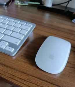 Magic Mouse
