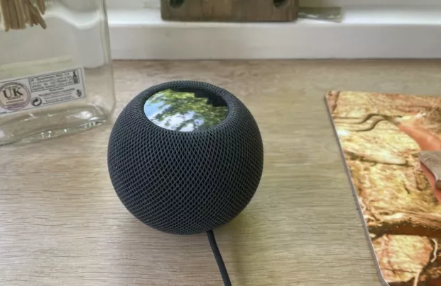 Homepod Mini - Image 5