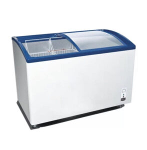 Display Freezer with Curved Glass