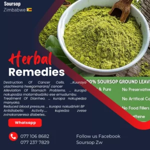 Soursop Graviola Powder And Leaves