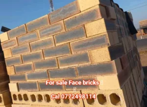 Decorative Face Bricks