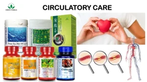 Bp/hypertension/circulatory Care Package