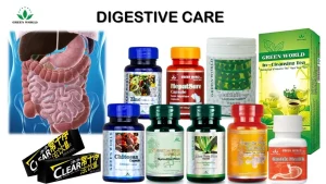 Digestive Care