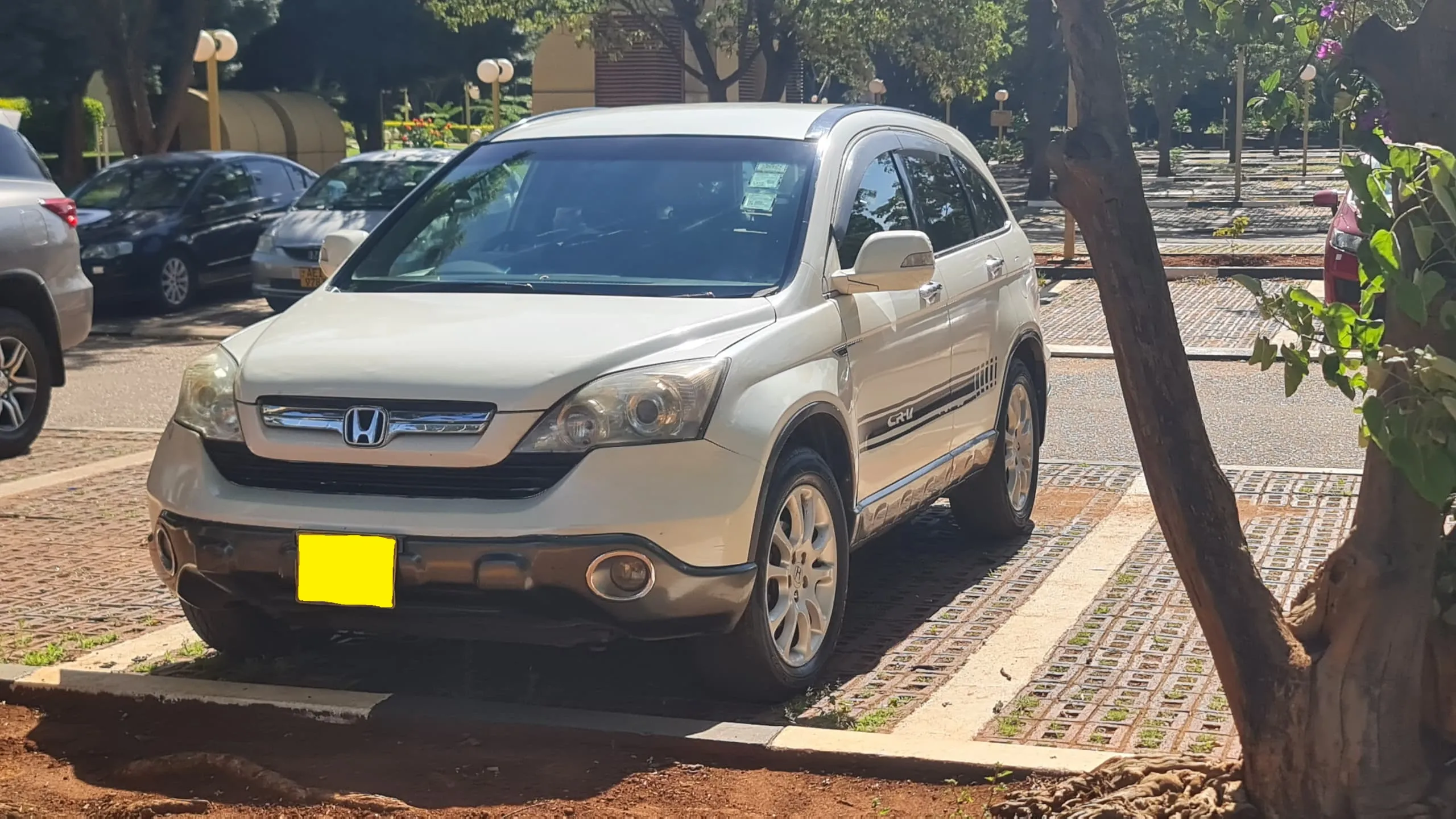 Honda Crv For Rental - Image 4