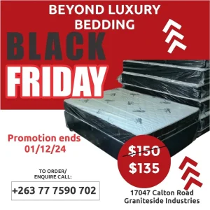 Black Friday Promotion!!!! Compressed Foam Double Bed