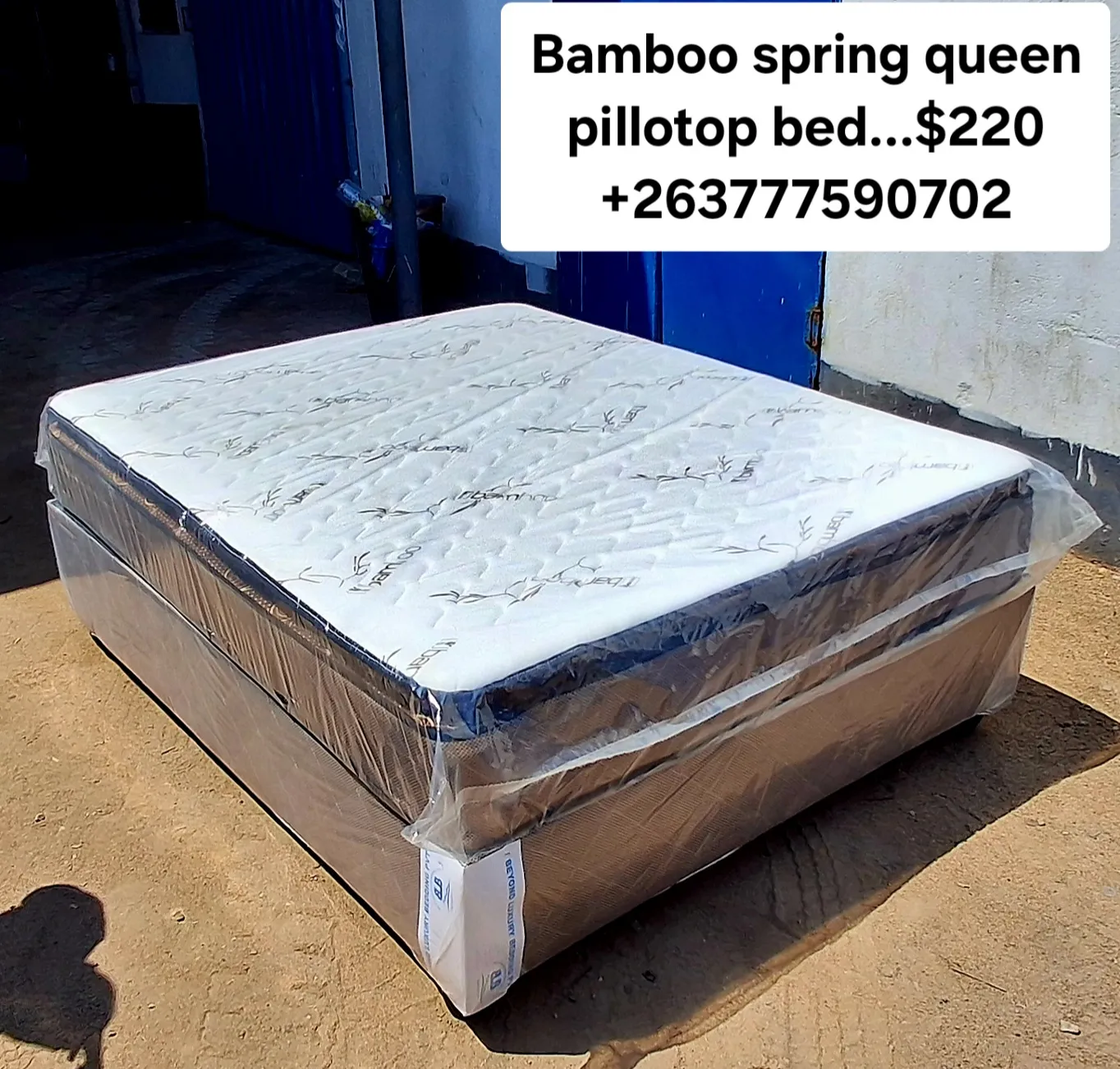 Bamboo Spring Queen Pillotop Bed