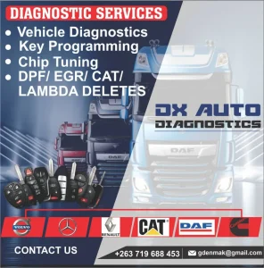 Vehicle Diagnostics And Programming Services